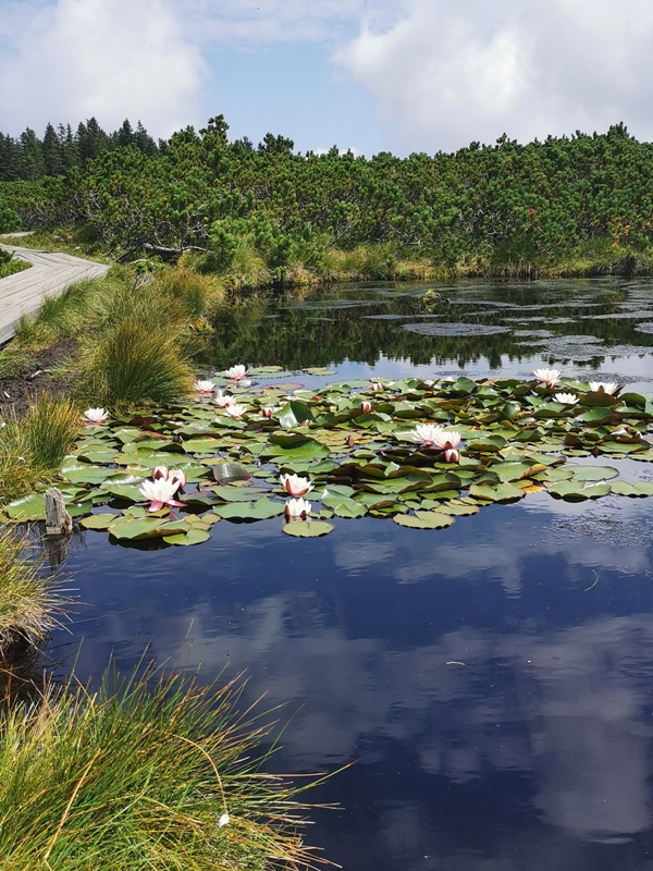 lovren&scaron;ko jezero